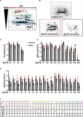 Immunoproteomics reveal increased serum IgG3/5 binding to Dermatophagoides and yeast protein antigens in severe equine asthma in a preliminary study